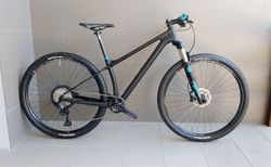 MRX Carbon Raw 2020 1x12 SLX M7100, 10,62 kg vel. 15"