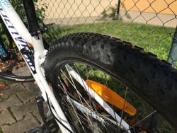 Specialized Jynx 650B