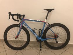 Focus CAYO ULTEGRA