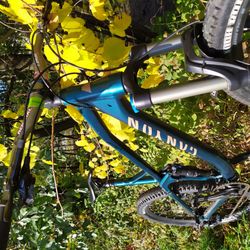 Canyon Spectral Al 5ex