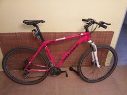 Pánské horské kolo MAXBIKE 29"