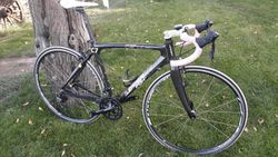 Leader Fox CARBTEC RACING