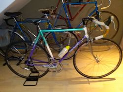 Colnago