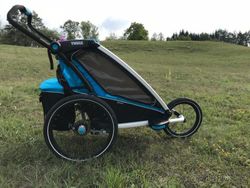 Thule Chariot Sport 1