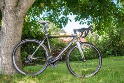 Merida Scultura EVO 904 S/M