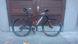 Orbea ALMA 29" black/orange 2018 L