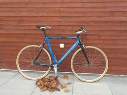 Singlespeed Author