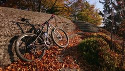 SIMPLON Cirex 29