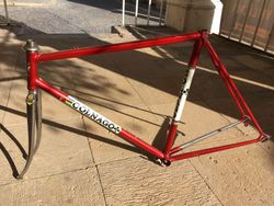 Colnago nuovo Mexico