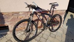 Scott scale 60