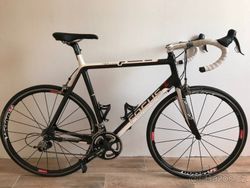 Focus Izalco