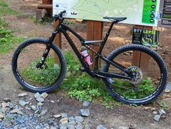 Specialized Camber Pro Carbon 29