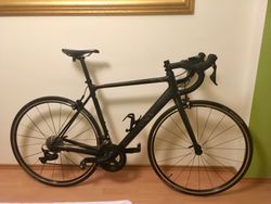 Canyon Endurace CF