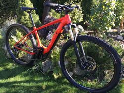 Specialized Turbo Levo HT 29