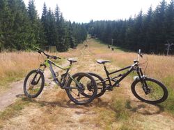 Giant Reign 2 2013