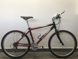 MTB Author Basic