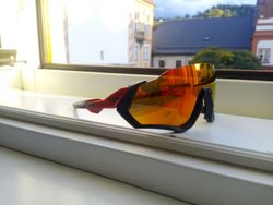 Oakley flight jacket