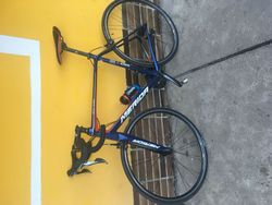 Merida scultura 300