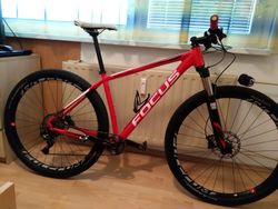 Horské kolo Focus-Black Forest Pro 29.
