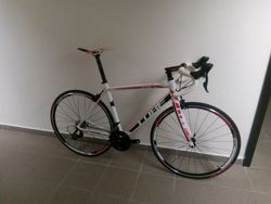 CUBE Peloton 56"