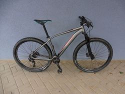 Specialized Rockhopper Pro 29