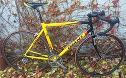 Silniční kolo Giant TCR