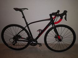 Specialized Diverge Elite DSW vel. 54