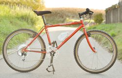 Range Road Gmilesi Bellinzona Cycles (Campagnolo Centaur/Euclid/Icarus)