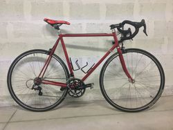 Nabídka: kolo Danion, osazeno komponenty Campagnolo