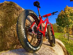 Fat bike Custom FX 1 temer nejety