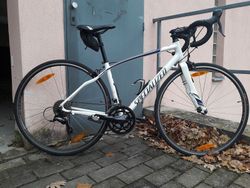 Specialized dolce sport C2