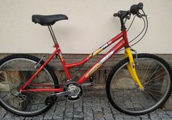 Dětské kolo favorit