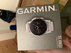 Garmin Fenix 5S optic white/silver band