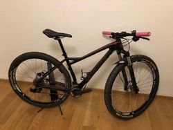 Specialized Fate Expert - damské 29 kolo