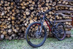 Specialized Stumpjumper LT 2019 29er