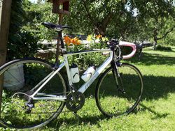 Dámský celokarbon Merida Ride 25