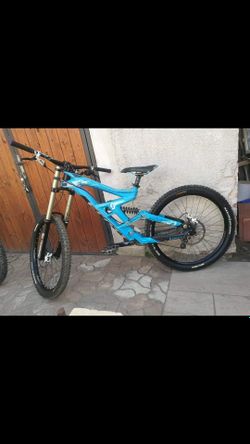 Scott gambler