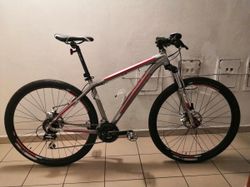 Trek 29 ER