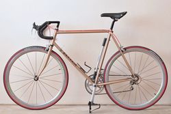Favorit F1 "Passat" Shimano Exage 300