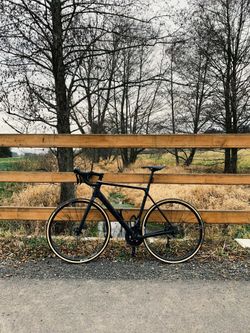 CANYON Endurace CF SL Disc