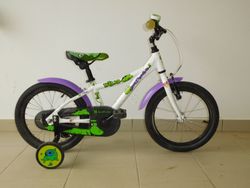 Dětské kolo 16" ROCK MACHINE Dino