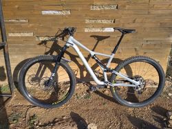 Specialized Stumpjumper 29' 2019