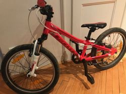 Scott Contessa 2017