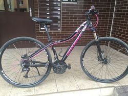 prodám hor kolo maxbike
