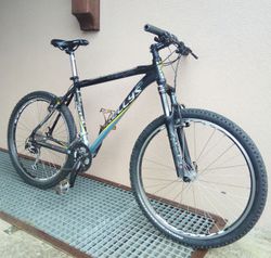 Kellys Magic 26"