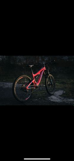 Pivot Firebird