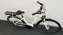 Kellys Ebase, velikost 17" (450 mm), Steps 6000