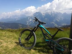 CAPRA 27 AL - 2018