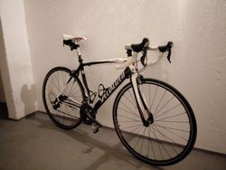 PRODÁM SILNIČNÍ KOLO SPECIALIZED TARMAC COMP