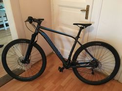 Pánské kolo XL, Specialized Rockhopper, kotoučové brzdy Shimano